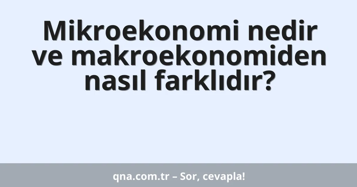 Mikroekonomi nedir ve makroekonomiden nasıl farklıdır?