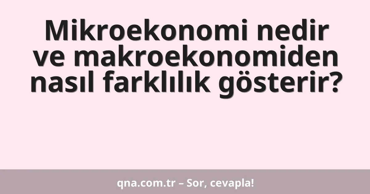 Mikroekonomi nedir ve makroekonomiden nasıl farklılık gösterir?