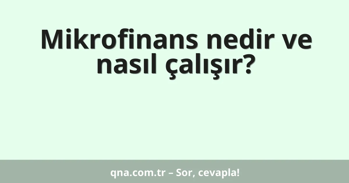 Mikrofinans nedir ve nasıl çalışır?