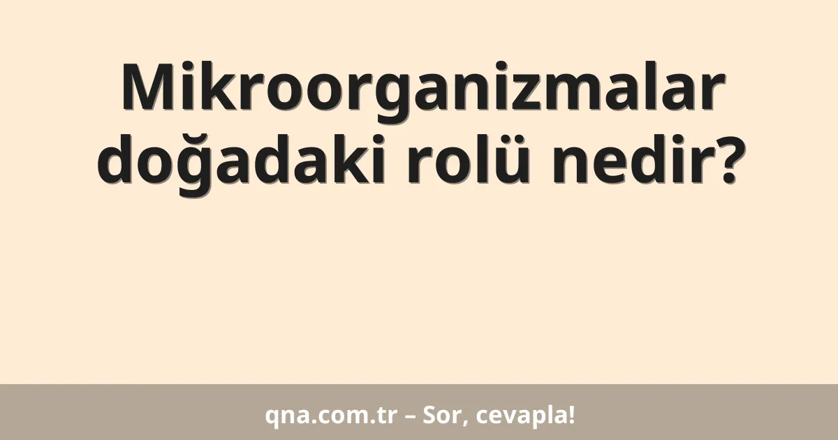 Mikroorganizmalar doğadaki rolü nedir?