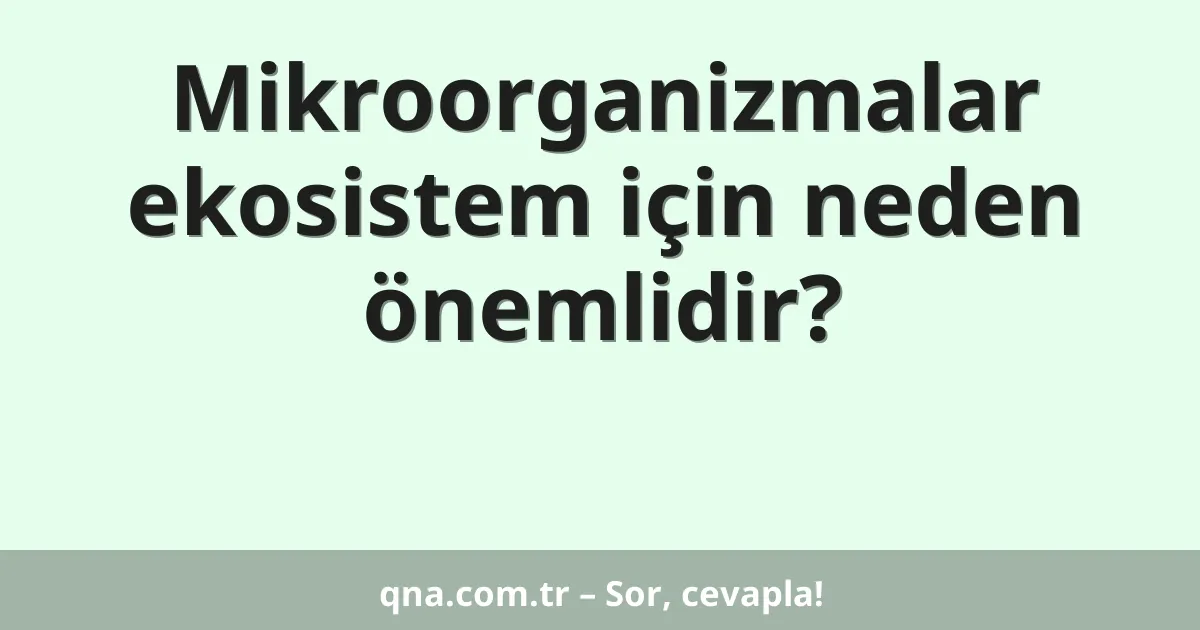 Mikroorganizmalar ekosistem için neden önemlidir?