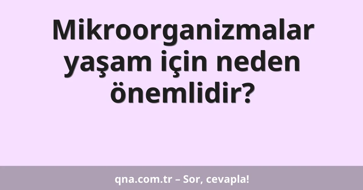 Mikroorganizmalar yaşam için neden önemlidir?