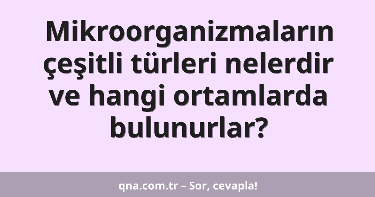 Mikroorganizmaların çeşitli türleri nelerdir ve hangi ortamlarda bulunurlar?