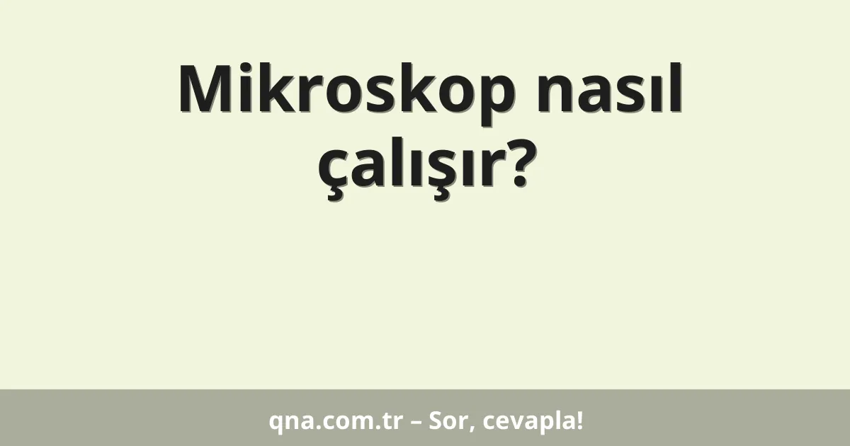 Mikroskop nasıl çalışır?