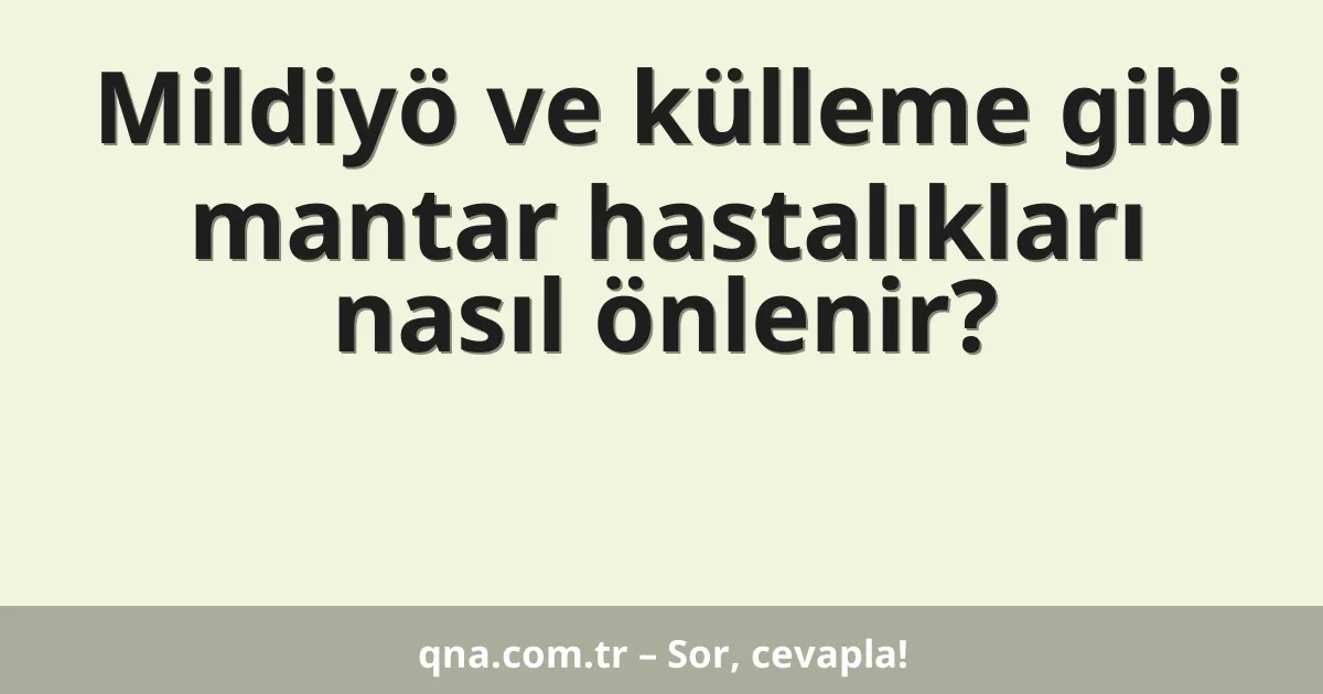 Mildiyö ve külleme gibi mantar hastalıkları nasıl önlenir?