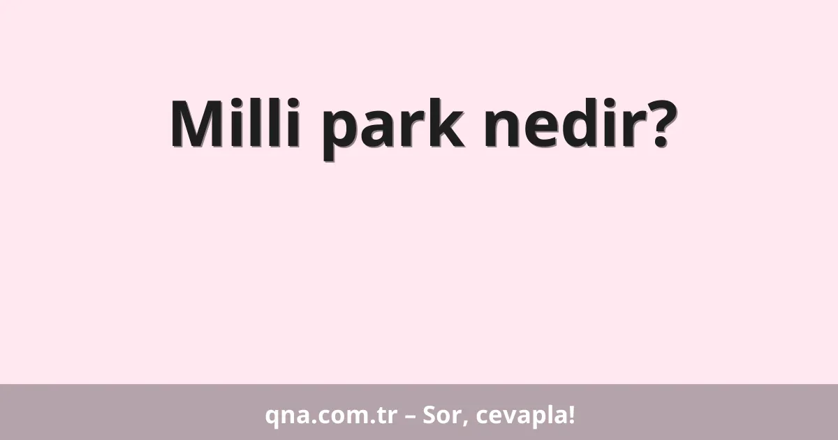 Milli park nedir?