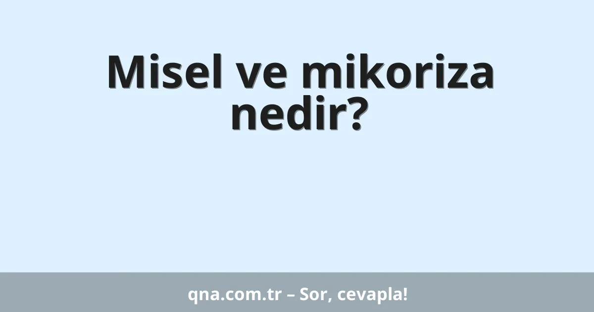Misel ve mikoriza nedir?