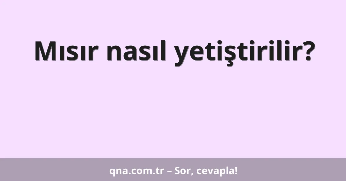 Mısır nasıl yetiştirilir?