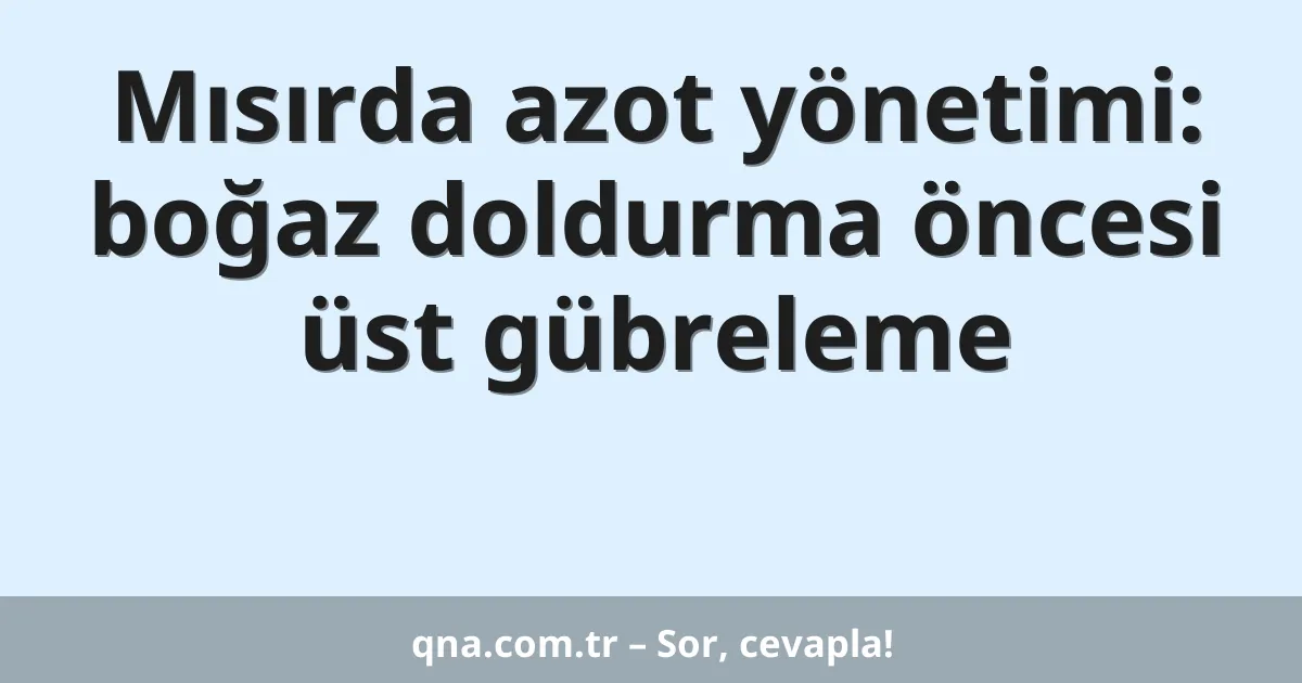 Mısırda azot yönetimi: boğaz doldurma öncesi üst gübreleme