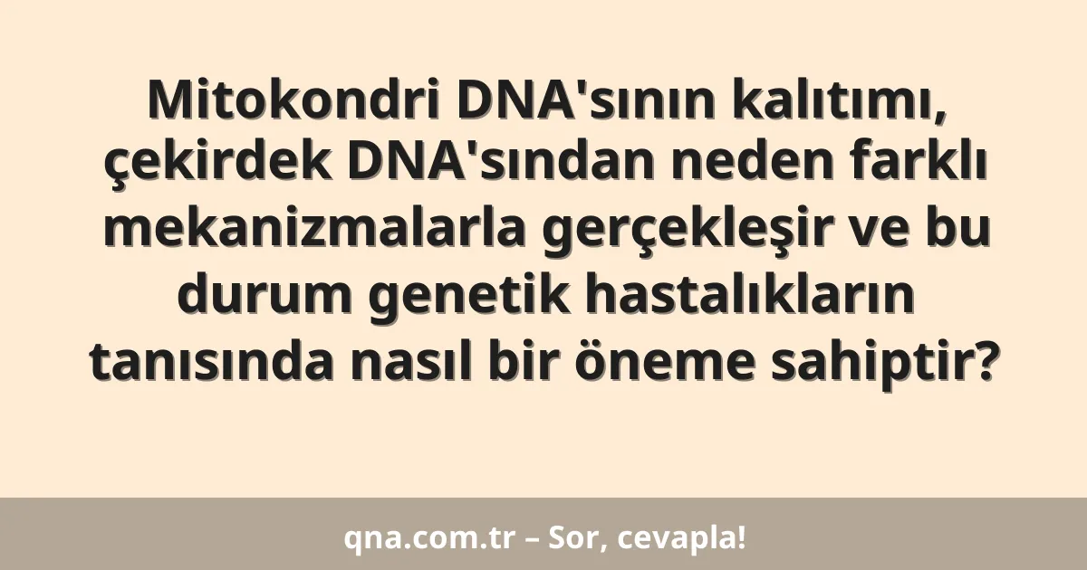 Mitokondri DNA'sının kalıtımı, çekirdek DNA'sından neden farklı mekanizmalarla gerçekleşir ve bu durum genetik hastalıkların tanısında nasıl bir öneme sahiptir?