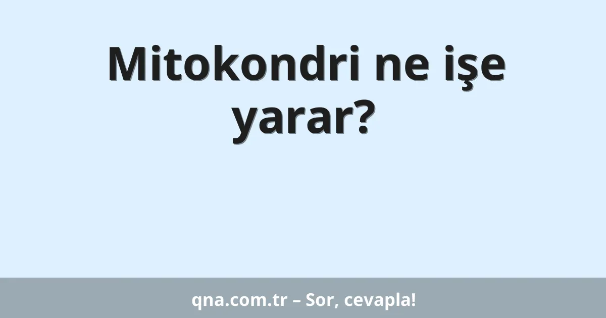 Mitokondri ne işe yarar?