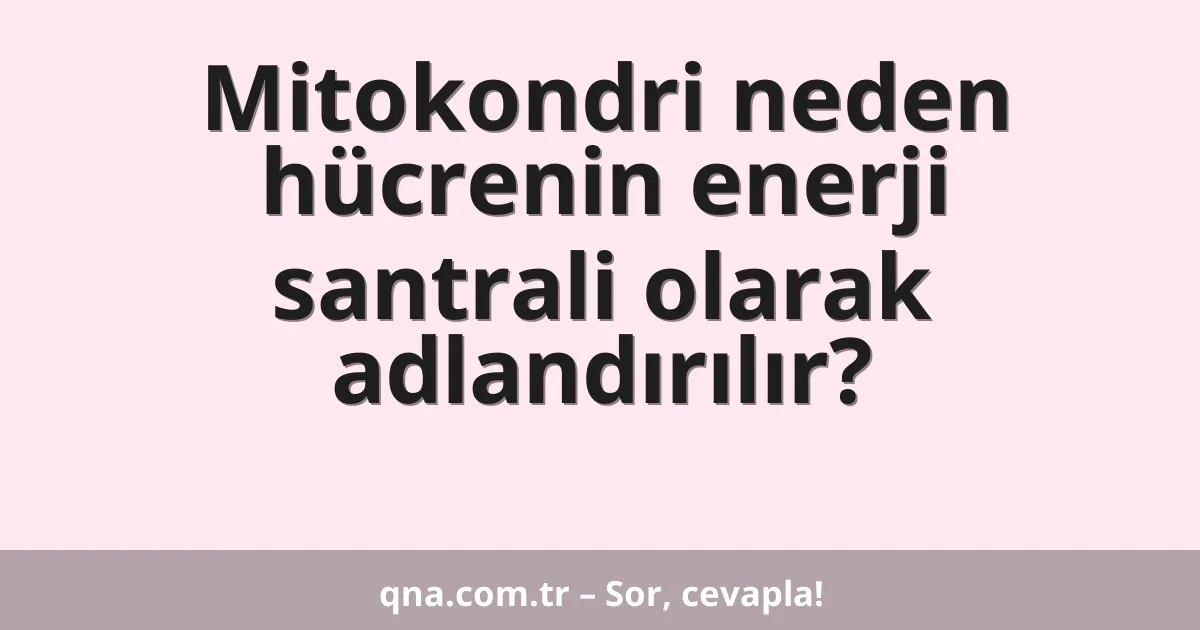 Mitokondri neden hücrenin enerji santrali olarak adlandırılır?