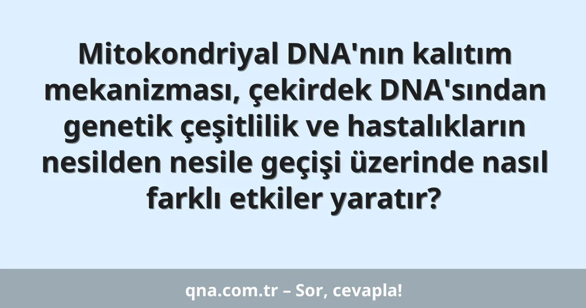 Mitokondriyal DNA'nın kalıtım mekanizması, çekirdek DNA'sından genetik çeşitlilik ve hastalıkların nesilden nesile geçişi üzerinde nasıl farklı etkiler yaratır?