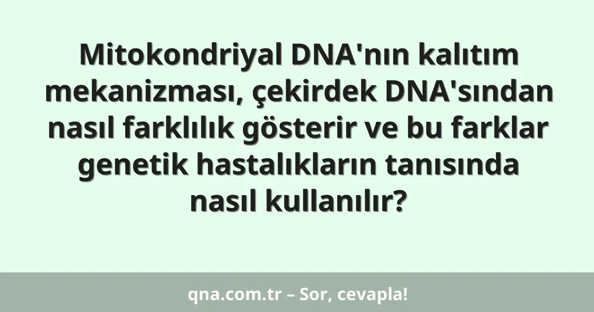 Mitokondriyal DNA'nın kalıtım mekanizması, çekirdek DNA'sından nasıl farklılık gösterir ve bu farklar genetik hastalıkların tanısında nasıl kullanılır?