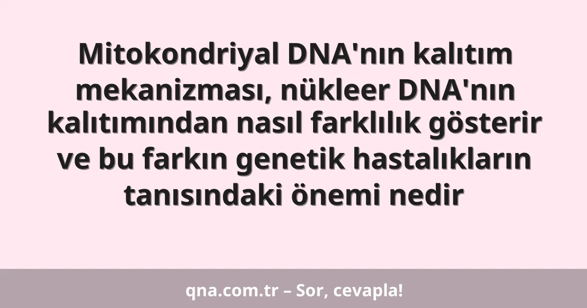 Mitokondriyal DNA'nın kalıtım mekanizması, nükleer DNA'nın kalıtımından nasıl farklılık gösterir ve bu farkın genetik hastalıkların tanısındaki önemi nedir