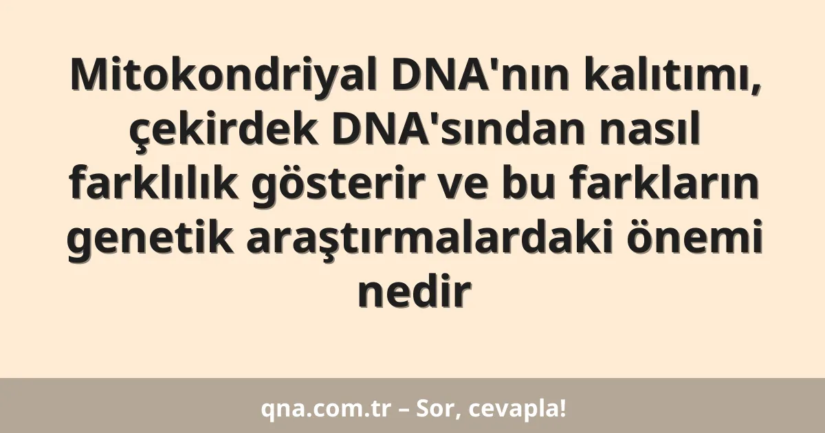 Mitokondriyal DNA'nın kalıtımı, çekirdek DNA'sından nasıl farklılık gösterir ve bu farkların genetik araştırmalardaki önemi nedir