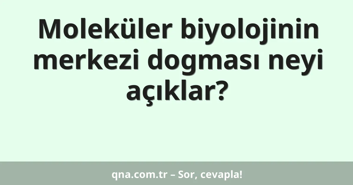 Moleküler biyolojinin merkezi dogması neyi açıklar?