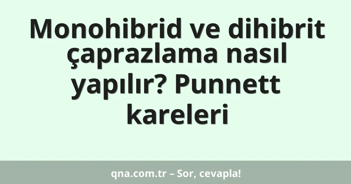 Monohibrid ve dihibrit çaprazlama nasıl yapılır? Punnett kareleri
