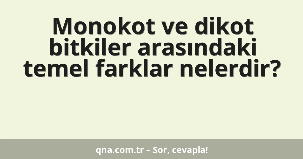 Monokot ve dikot bitkiler arasındaki temel farklar nelerdir?