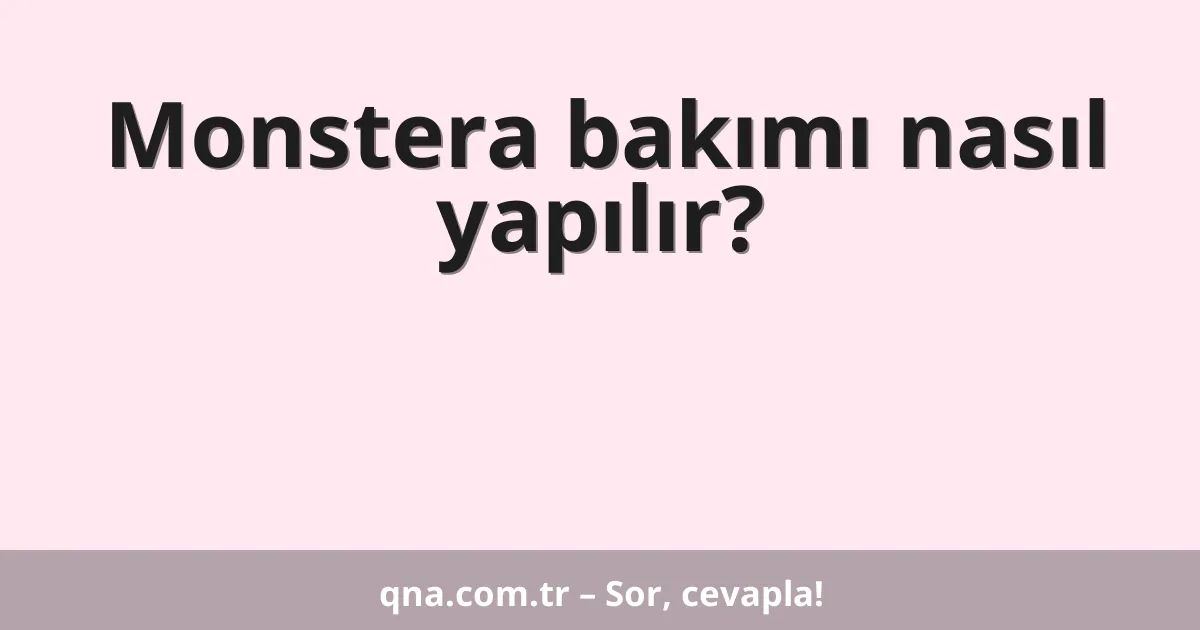 Monstera bakımı nasıl yapılır?