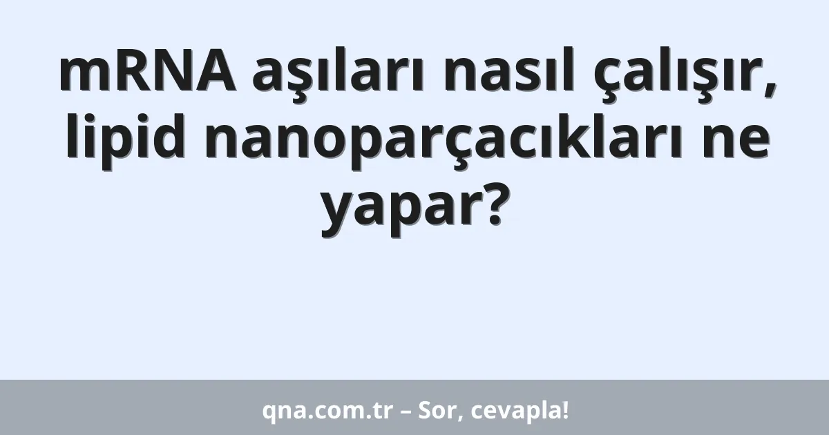 mRNA aşıları nasıl çalışır, lipid nanoparçacıkları ne yapar?