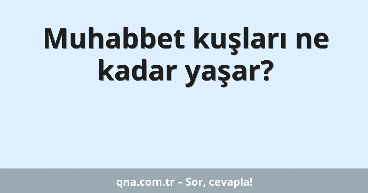 Muhabbet kuşları ne kadar yaşar?