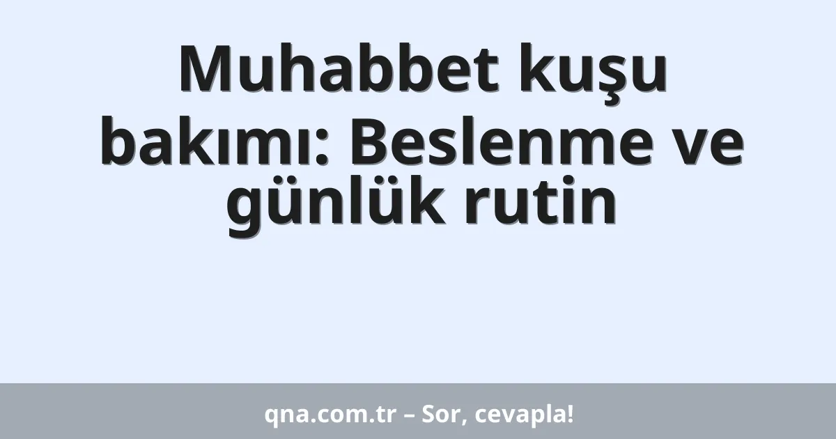 Muhabbet kuşu bakımı: Beslenme ve günlük rutin