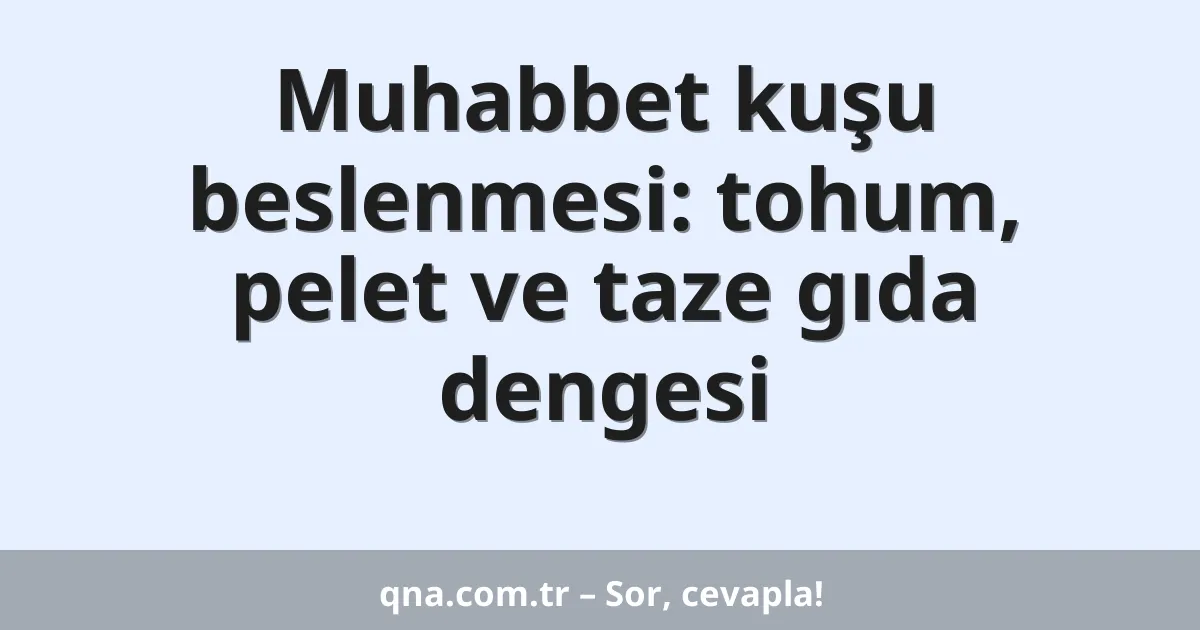 Muhabbet kuşu beslenmesi: tohum, pelet ve taze gıda dengesi