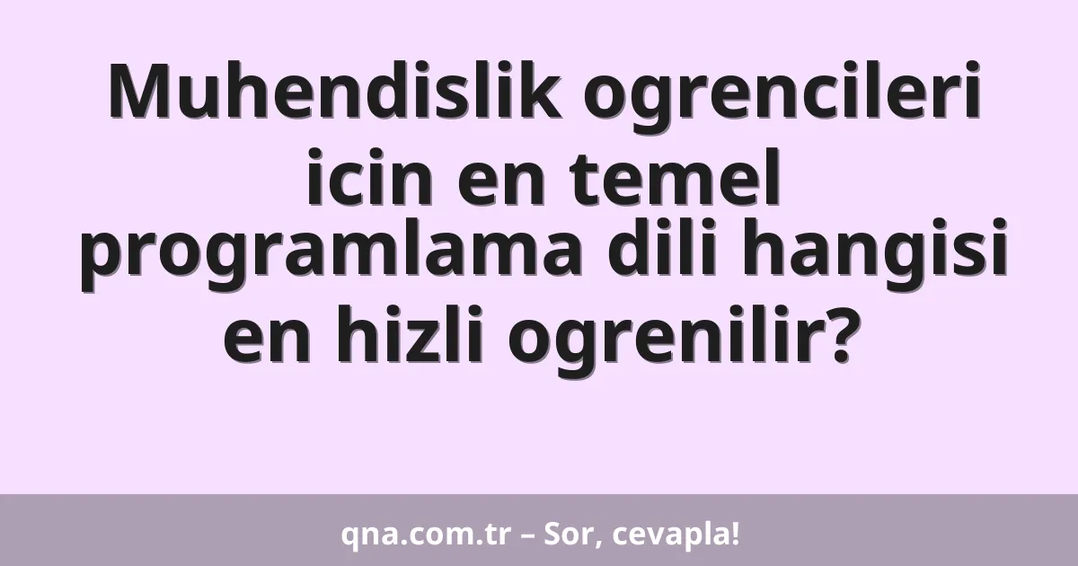 Muhendislik ogrencileri icin en temel programlama dili hangisi en hizli ogrenilir?