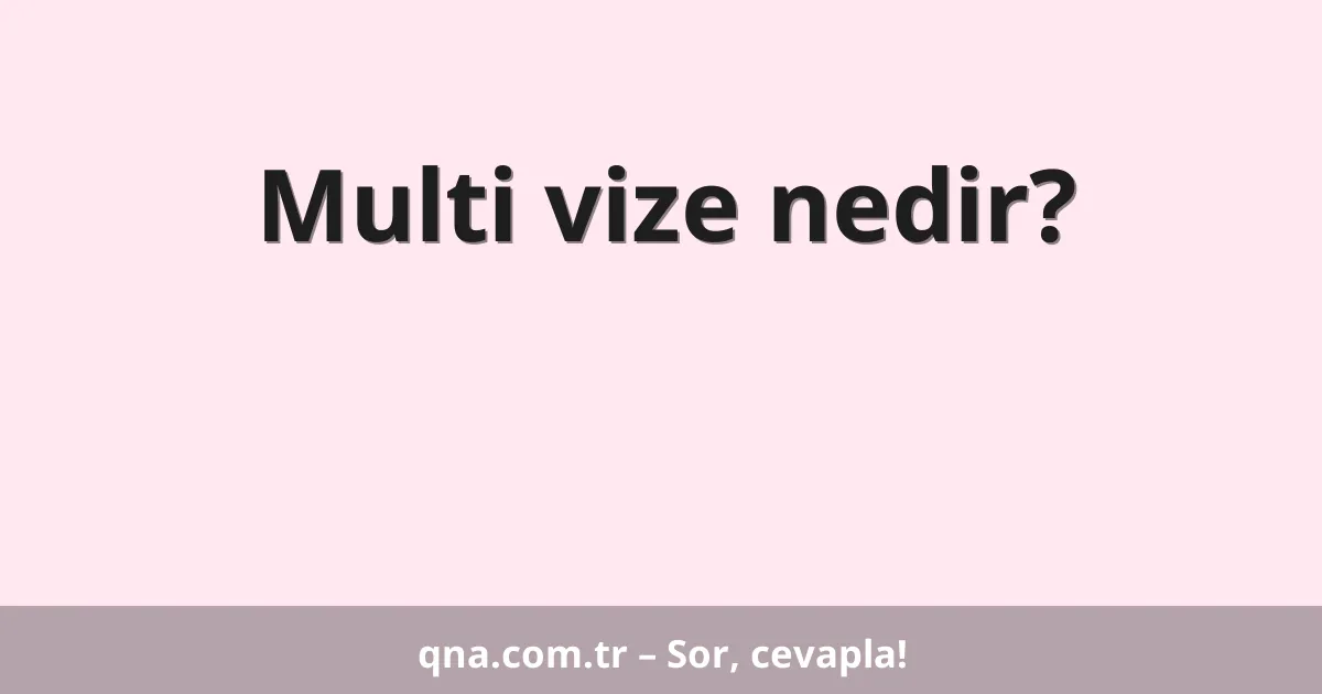 Multi vize nedir?