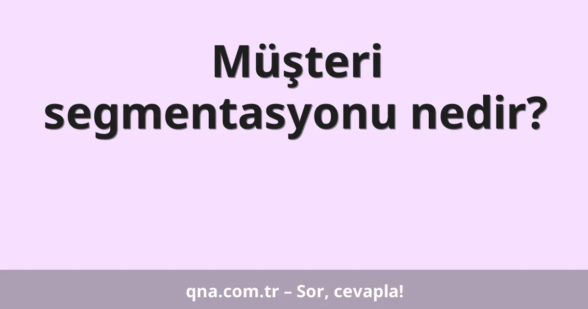 Müşteri segmentasyonu nedir?