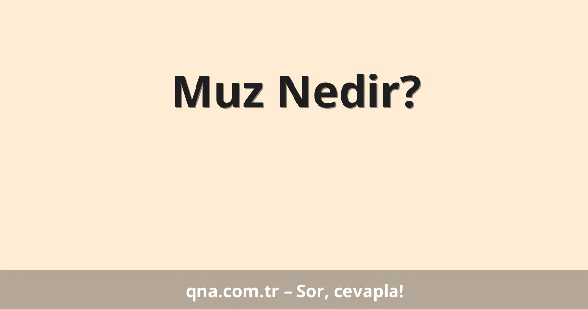 Muz Nedir?