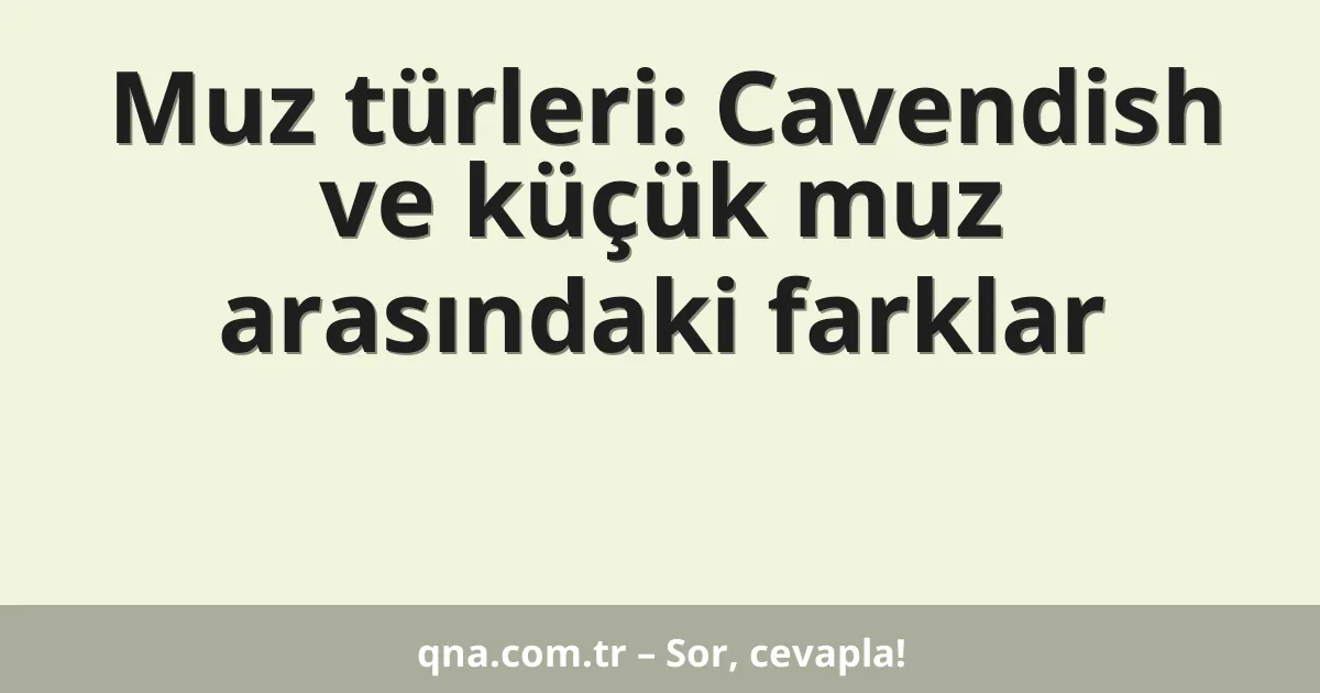Muz türleri: Cavendish ve küçük muz arasındaki farklar