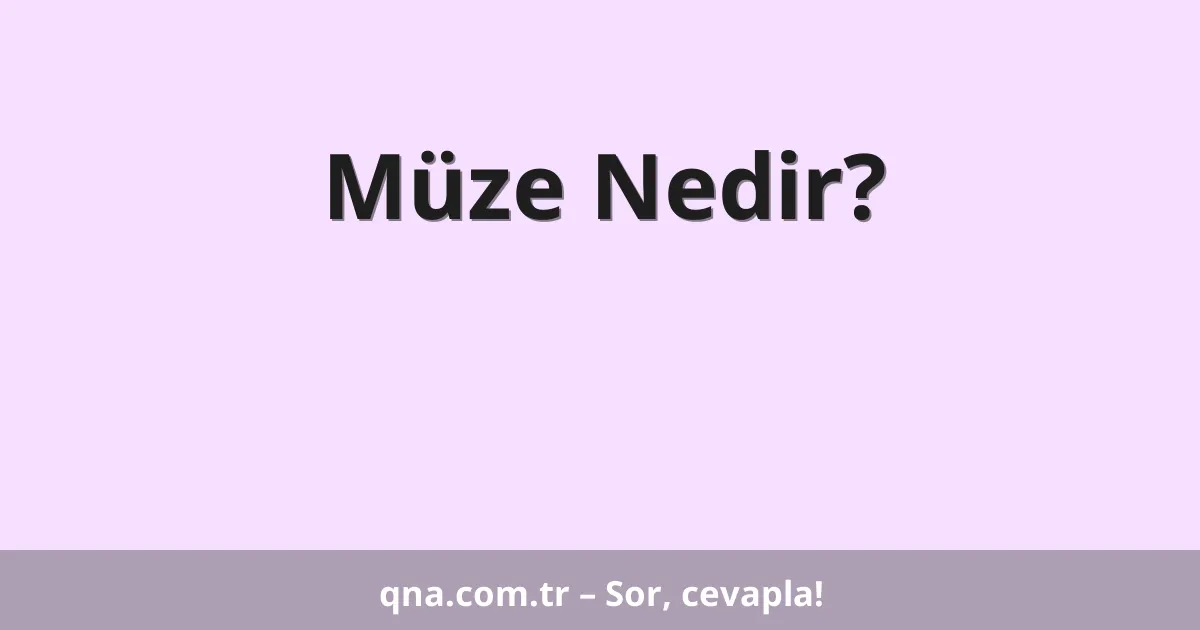Müze Nedir?