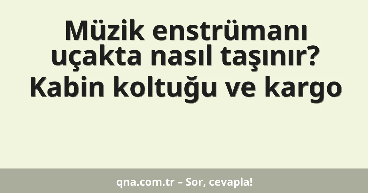 Müzik enstrümanı uçakta nasıl taşınır? Kabin koltuğu ve kargo