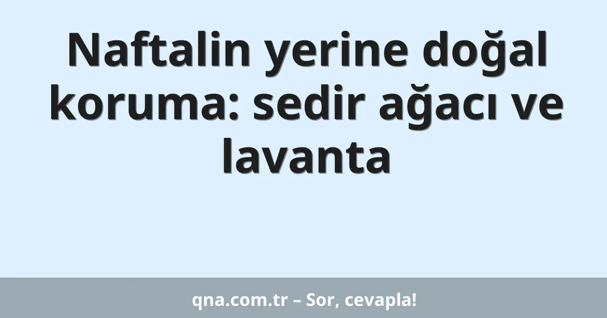 Naftalin yerine doğal koruma: sedir ağacı ve lavanta