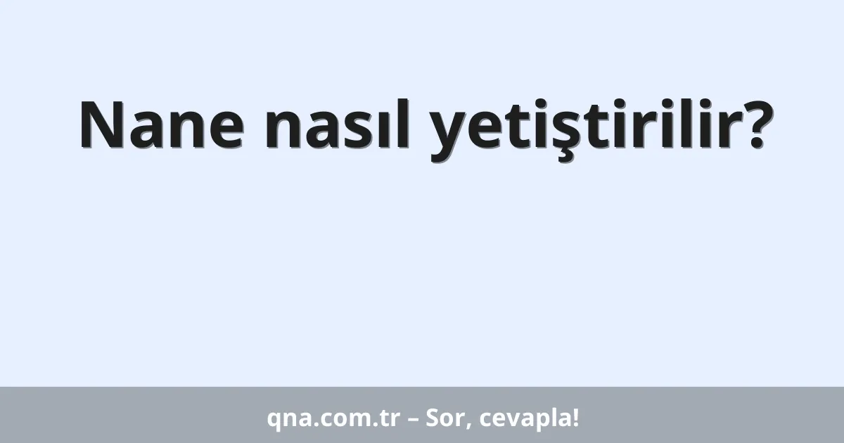 Nane nasıl yetiştirilir?