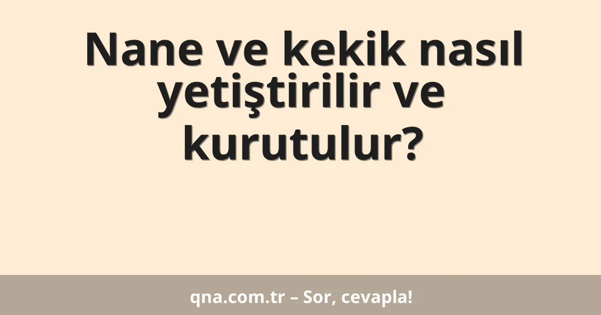 Nane ve kekik nasıl yetiştirilir ve kurutulur?