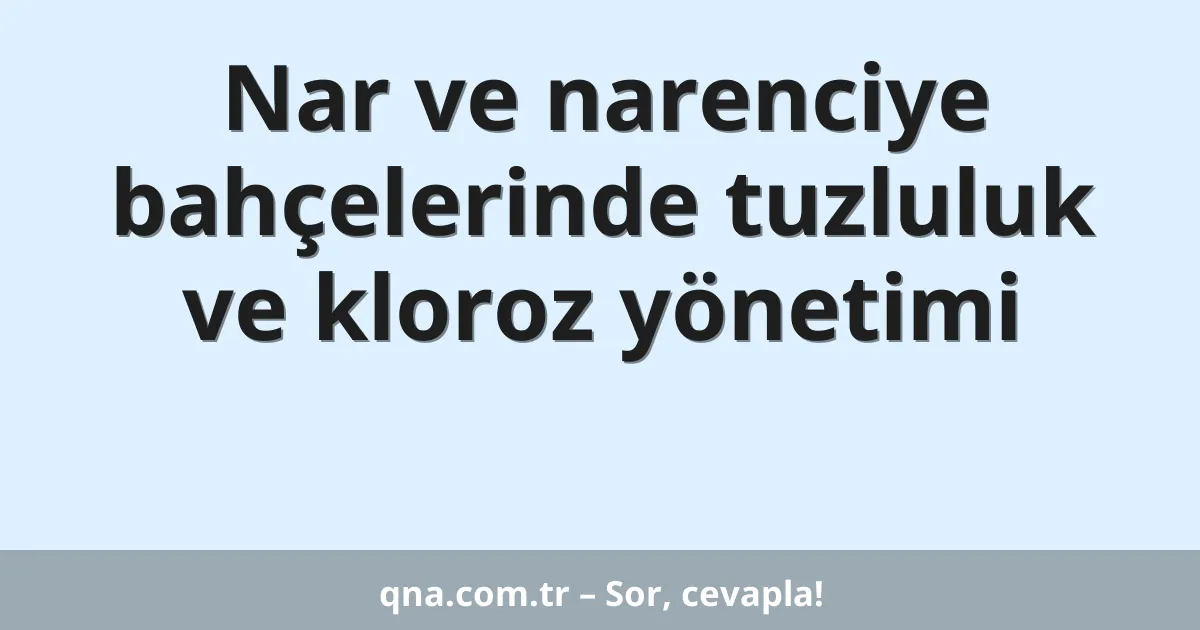 Nar ve narenciye bahçelerinde tuzluluk ve kloroz yönetimi