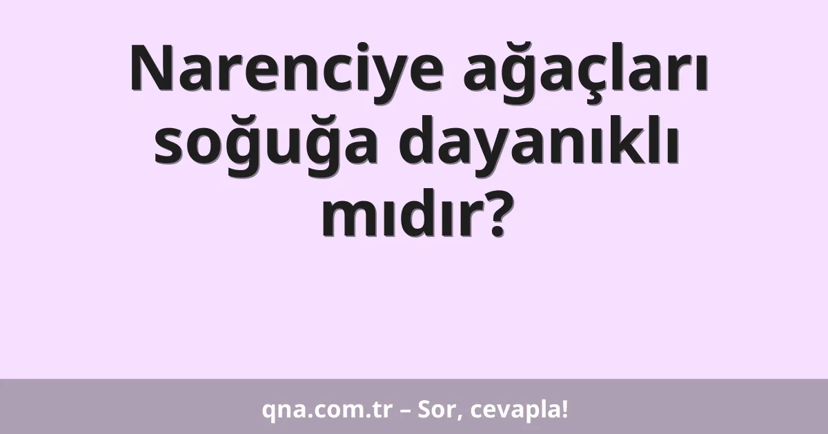 Narenciye ağaçları soğuğa dayanıklı mıdır?