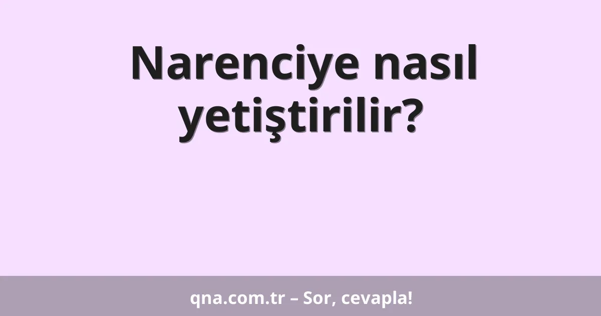 Narenciye nasıl yetiştirilir?