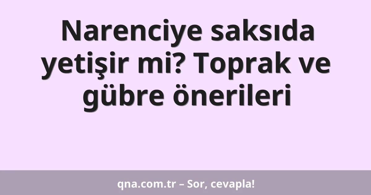 Narenciye saksıda yetişir mi? Toprak ve gübre önerileri