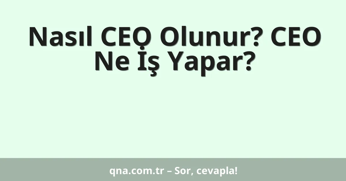 Nasıl CEO Olunur? CEO Ne İş Yapar?