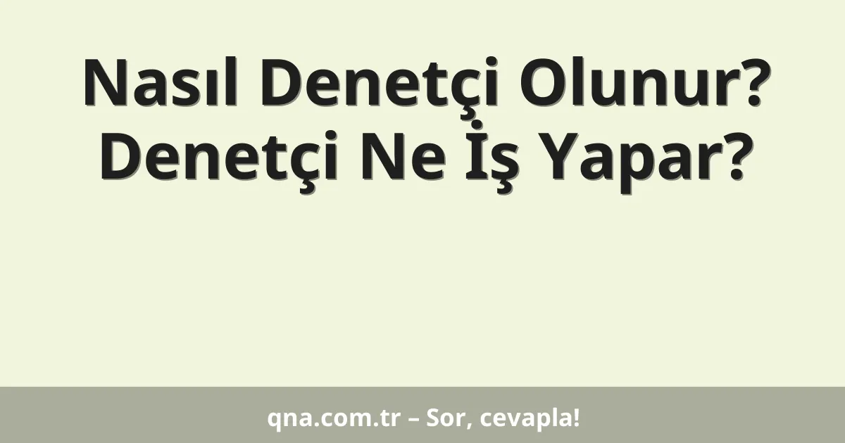 Nasıl Denetçi Olunur? Denetçi Ne İş Yapar?