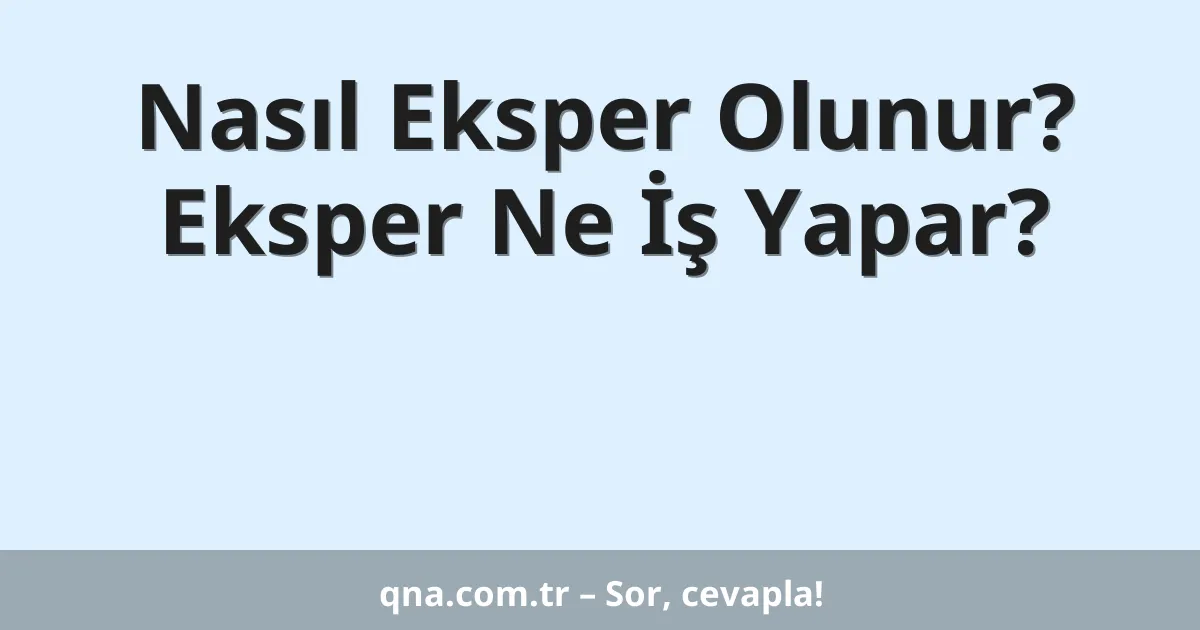 Nasıl Eksper Olunur? Eksper Ne İş Yapar?