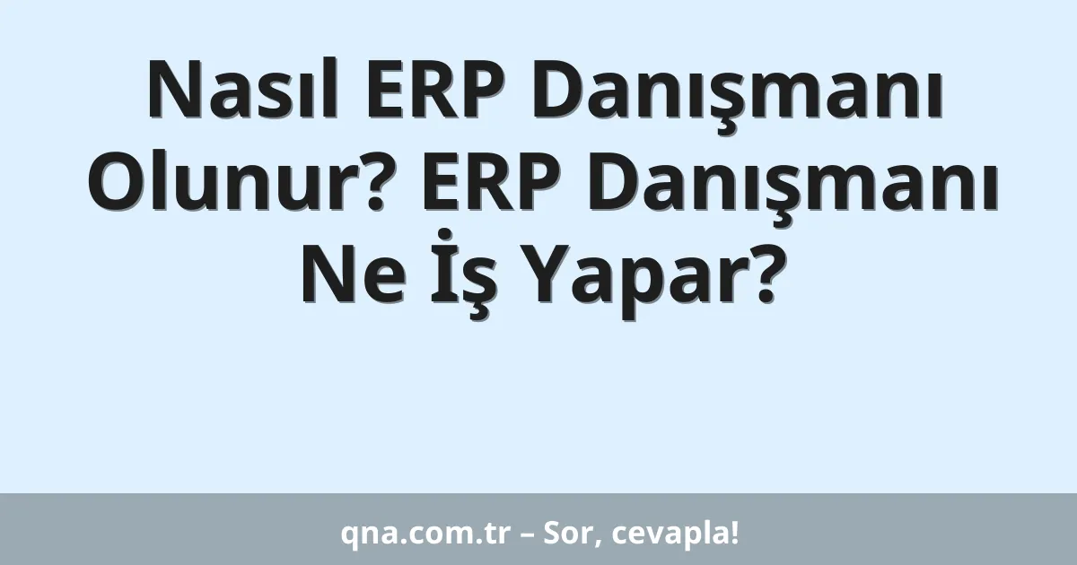 Nasıl ERP Danışmanı Olunur? ERP Danışmanı Ne İş Yapar?