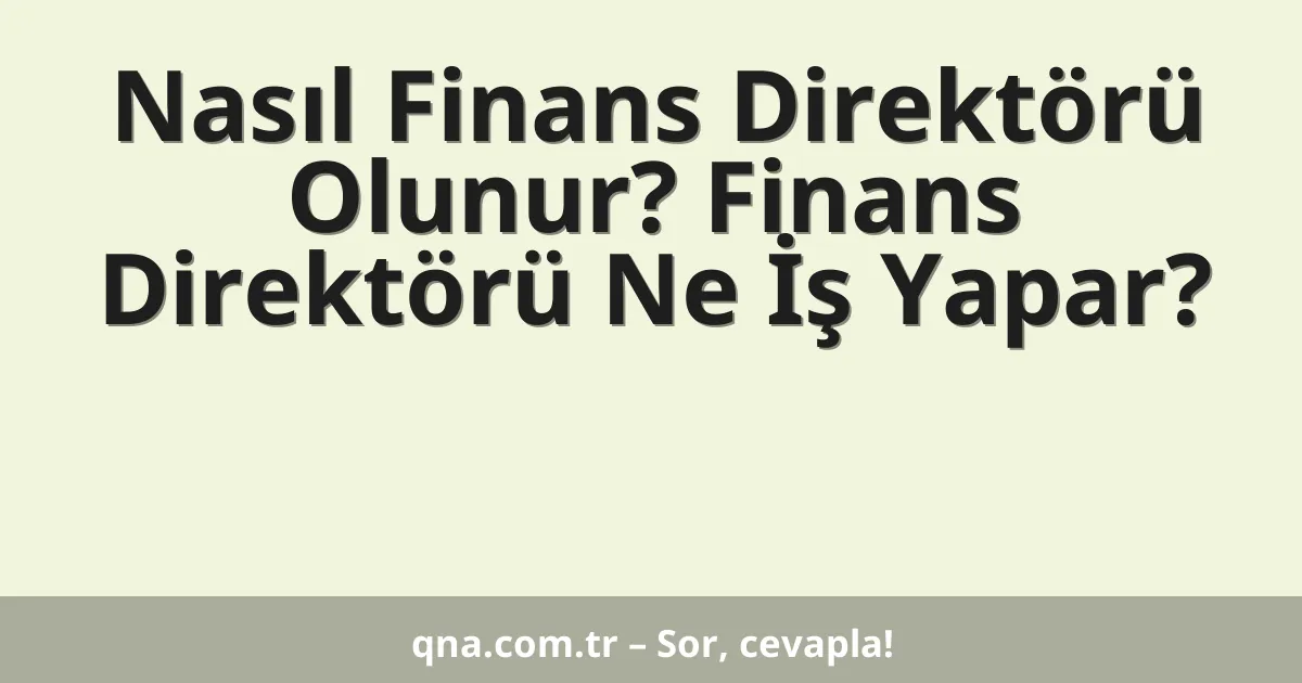 Nasıl Finans Direktörü Olunur? Finans Direktörü Ne İş Yapar?