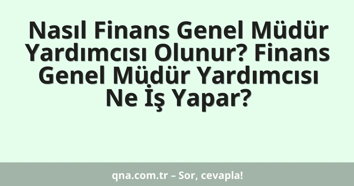 Nasıl Finans Genel Müdür Yardımcısı Olunur? Finans Genel Müdür Yardımcısı Ne İş Yapar?