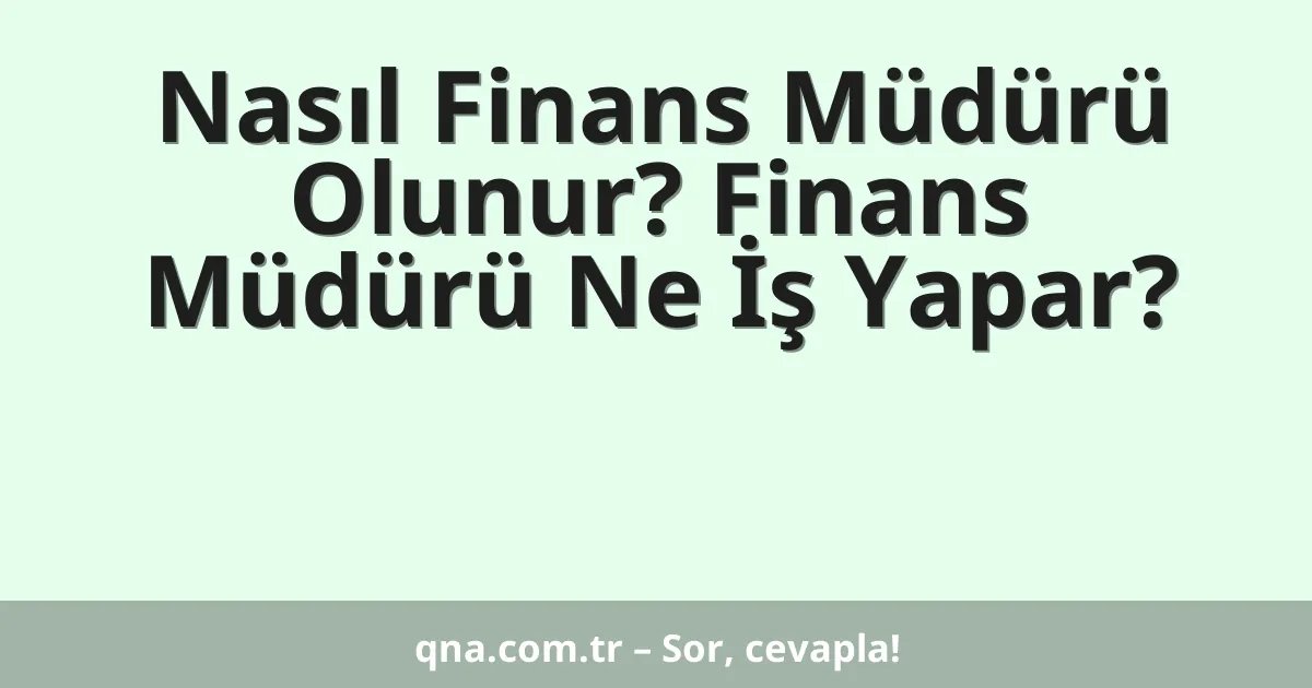 Nasıl Finans Müdürü Olunur? Finans Müdürü Ne İş Yapar?