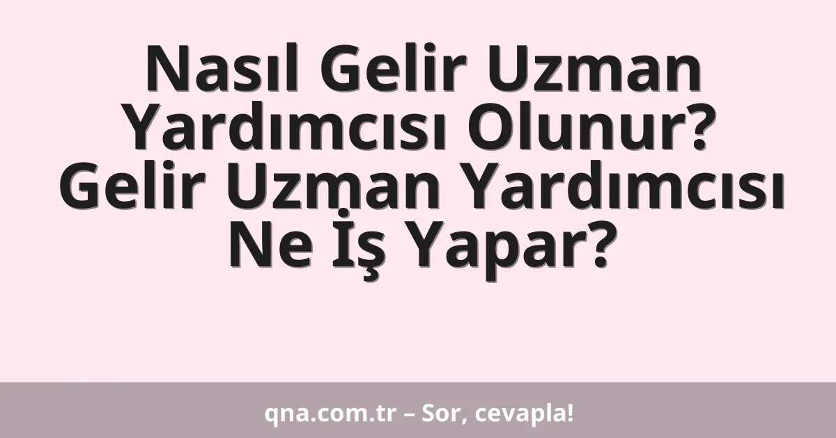 Nasıl Gelir Uzman Yardımcısı Olunur? Gelir Uzman Yardımcısı Ne İş Yapar?